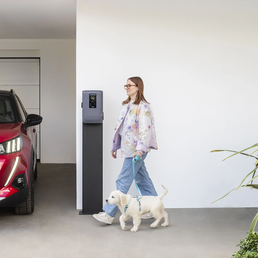 Dazebox Share do 22 kW, delitev moči med več vozili. Na stojalu.